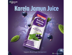Baidyanath Premium Karela Jamun Juice - 1L | Supports Healthy Blood Sugar Levels Naturally |