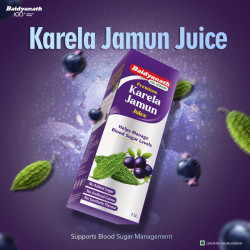 Baidyanath Premium Karela Jamun Juice - 1L | Supports Healthy Blood Sugar Levels Naturally |
