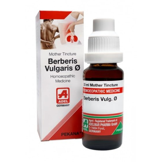 ADEL Berberis Vulg. Q Mother Tincture (Pack of One)