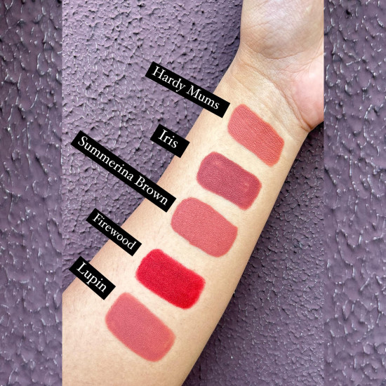 Love Earth Crayon Lipstick 2.O Matte Finish Combo Kit | Lightweight, Non-Lasting, Non-Transfer,Smudge Proof, Creamy Matte Lipstick Set | Multicolor Crayon Lipstick -Multicolor (3.5g X 5) 17.5grm