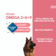 PET360 Omega 3+6+9 for Dogs | Blend of Salmon & Flax Seed Oils with Fur & Coat Protectives | Reduced Shedding | Shiny Coat | Healthy Joints | Nutritional Supplement for Pets - 100 ml PET360 Omega 3+6+9 for Dogs | Blend of Salmon & Flax Seed Oils with Fur & Coat Protectives | Reduced Shedding | Shiny Coat | Healthy Joints | Nutritional Supplement for Pets - 100 ml