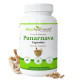 Attar Ayurveda Punarnava Capsules 350 mg - 60 capsules for Kidney Support | Support Digestion, Detoxify Body | Pure and Natural | Non-GMO