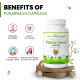Attar Ayurveda Punarnava Capsules 350 mg - 60 capsules for Kidney Support | Support Digestion, Detoxify Body | Pure and Natural | Non-GMO