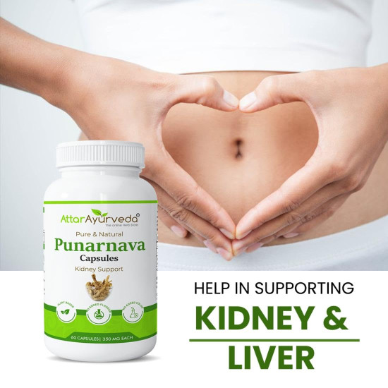 Attar Ayurveda Punarnava Capsules 350 mg - 60 capsules for Kidney Support | Support Digestion, Detoxify Body | Pure and Natural | Non-GMO