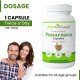 Attar Ayurveda Punarnava Capsules 350 mg - 60 capsules for Kidney Support | Support Digestion, Detoxify Body | Pure and Natural | Non-GMO
