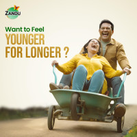 Zandu Dirghayuprash: Anti Age Action* with Vayasthapan Mahakashaya Herbs, Scientifically Proven, goodness of Chyawanprash for 3 way immunity action*| Boosts Energy, Strength, Stamina | Helps Strengthen Bones & Joints| | 450 GM