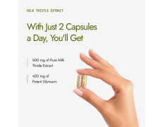 Kapiva Milk Thistle Capsules (120N) | With 70% Silymarin | Supports Liver & Immune System | Vegan, Preservative-Free | Liver Detox Supplement