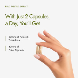 Kapiva Milk Thistle Capsules (120N) | With 70% Silymarin | Supports Liver & Immune System | Vegan, Preservative-Free | Liver Detox Supplement