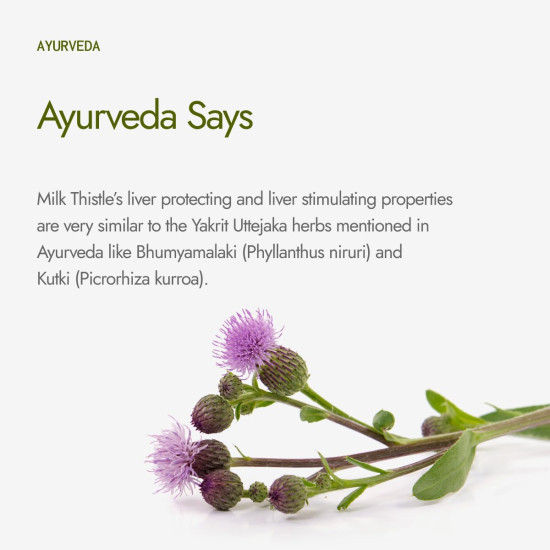 Kapiva Milk Thistle Capsules (120N) | With 70% Silymarin | Supports Liver & Immune System | Vegan, Preservative-Free | Liver Detox Supplement