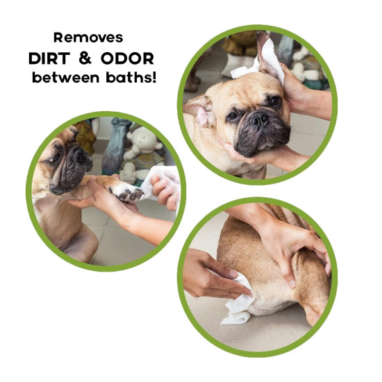 Cature Care by Nature Biodegradable Pet Wipes - Aloe Vera & Neem, Gentle & Effective Cleaning for Pets (100 Wipes)