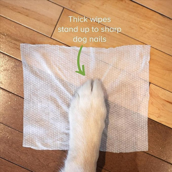 Cature Care by Nature Biodegradable Pet Wipes - Aloe Vera & Neem, Gentle & Effective Cleaning for Pets (100 Wipes)