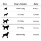 Absolut Pet Hip and Joint-Supplements for Dogs Chews That Improve Mobility & Bone Strength with Glucosamine, Chondroitin & Collagen (30 Chews)