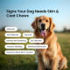 Absolut Pet Dog Supplement for Skin & Coat, Chews for Reduced Shedding, Healthy Skin & Glowing Coat with Omega, Collagen & Biotin (30 Chews) Absolut Pet Dog Supplement for Skin & Coat, Chews for Reduced Shedding, Healthy Skin & Glowing Coat with Omega, Collagen & Biotin (30 Chews)
