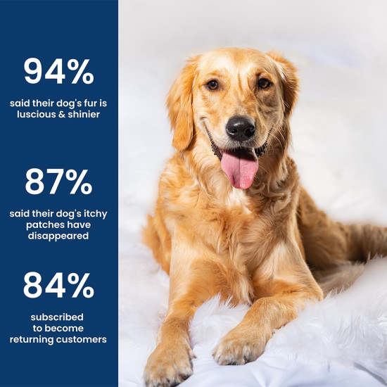 Absolut Pet Dog Supplement for Skin & Coat, Chews for Reduced Shedding, Healthy Skin & Glowing Coat with Omega, Collagen & Biotin (30 Chews) Absolut Pet Dog Supplement for Skin & Coat, Chews for Reduced Shedding, Healthy Skin & Glowing Coat with Omega, Collagen & Biotin (30 Chews)