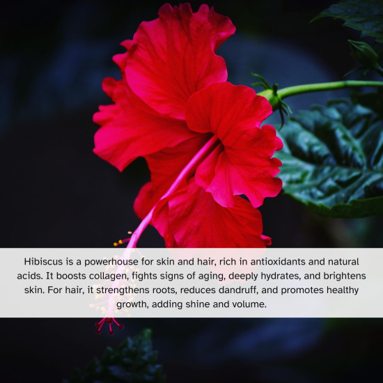 Vedamedic Lifestyle Kumkumadi Oil for Face & body oil for glowing skin with Rosehip oil for skin & Saffron, Sandalwood for Pigmentation. Kumkumadi Tailam cleansing oil for face, serum for glowing skin 100 ml