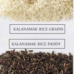 Kala Namak Rice | 2kg | Aromatic Rice | Unpolished Rice | Traditionally Milled - Diabetic Friendly | High in Zinc and Iron