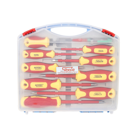 Spartan 10 in1 Insulated Screwdriver Set | Electrician Tools Kit | with Interchangeable Blades for Appliance Repair, DIY Electrical Projects, Electronics Repair (Pack of 1)