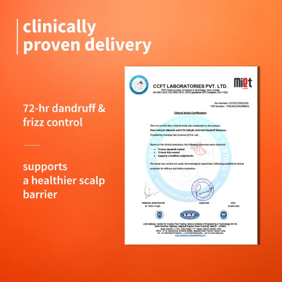 Plum Anti-Dandruff Shampoo With Volcanic Minerals & 0.5% Salicylic Acid|72-Hr Dandruff & Frizz Control|Maintains Healthy Scalp Barrier|Gently Exfoliates & Clarifies|Prevents Rough,Dry Hair|250Ml