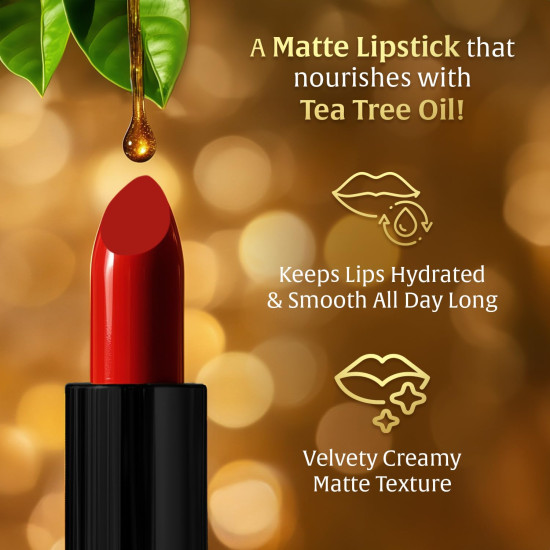 FACES CANADA Comfy Matte Velvet Touch Lipstick - Fierce Brown 17, 4.2g | Velvety Matte Finish | 8HR Longstay | Intense Colour | Hydrating Lips | Smooth Application | Foodproof & Crackproof