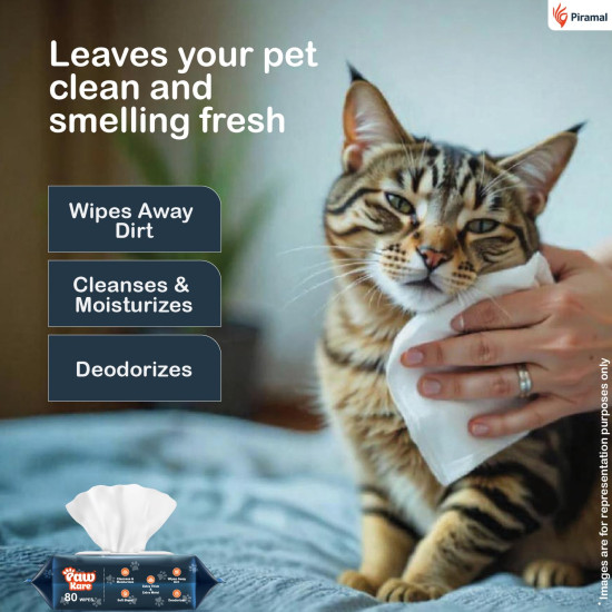 PawKare Pet Wipes for Dogs & Cats | 160 Count | 80 x Pack of 2 | Vet Recommended Grooming Wipes |Alcohol-Free Wet Wipes for Cats & Dogs|Pets Dry Bathing, Paw Cleaning| Aloe Vera, Jojoba Oil, Vitamin E