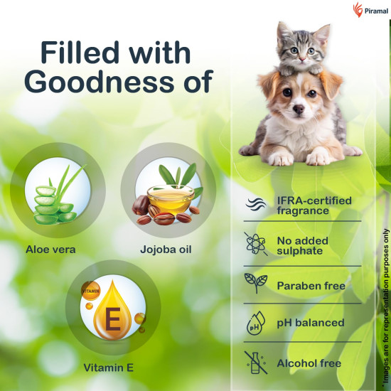 PawKare Pet Wipes for Dogs & Cats | 160 Count | 80 x Pack of 2 | Vet Recommended Grooming Wipes |Alcohol-Free Wet Wipes for Cats & Dogs|Pets Dry Bathing, Paw Cleaning| Aloe Vera, Jojoba Oil, Vitamin E