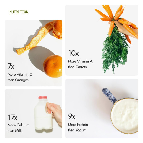 Kapiva Certified Organic Moringa Powder 200g (Pack of 2) | From Pure Drumstick Leaves | Gives Natural Energy & Nutrients