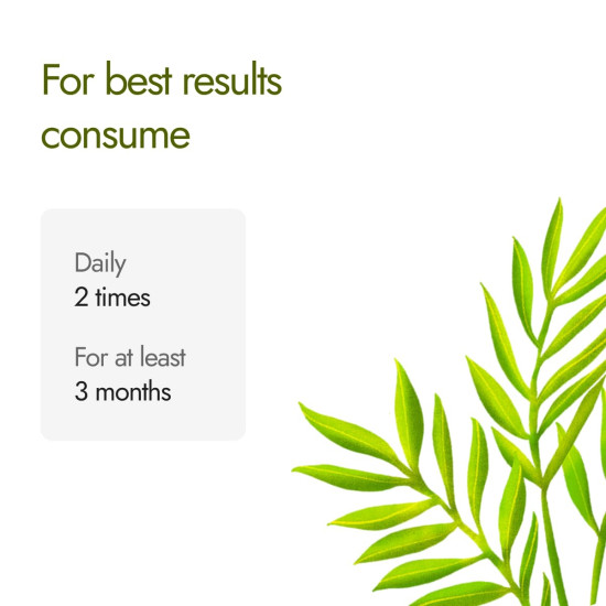 Kapiva Dia Free Capsules | Helps Manage Blood Sugar Levels With Karela, Jamun & Gudmar | 100% Ayurvedic Capsules with Powerful Herbs | 1 Month Pack for Diabetes/Diabetic Care | 60 Capsules (Pack of 2) Kapiva Dia Free Capsules | Helps Manage Blood Sugar Levels With Karela, Jamun & Gudmar | 100% Ayurvedic Capsules with Powerful Herbs | 1 Month Pack for Diabetes/Diabetic Care | 60 Capsules (Pack of 2)