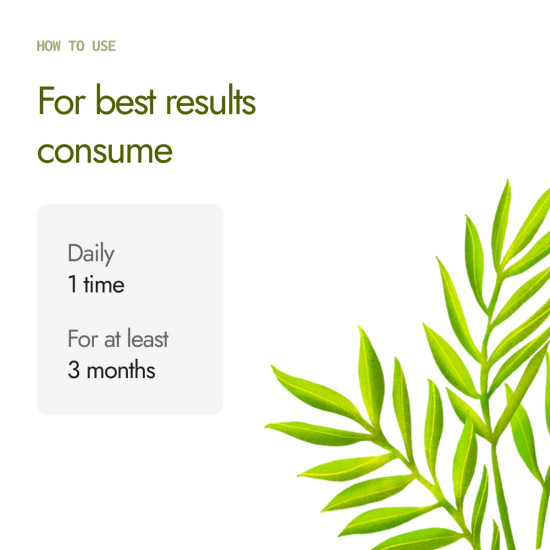 Kapiva Cholest Fit Juice, 1L X 3 Month Pack | Supports Healthy Cholesterol with Arjuna, Apple Cider Vinegar, & 4 more herbs (Pack of 3) Kapiva Cholest Fit Juice, 1L X 3 Month Pack | Supports Healthy Cholesterol with Arjuna, Apple Cider Vinegar, & 4 more herbs (Pack of 3)