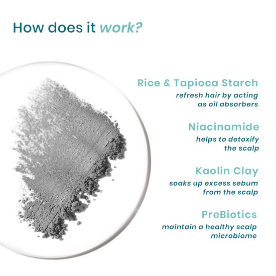 WishCare Air Powder Dry Shampoo for Oily Hair & Scalp - No White Cast & Aerosol - Niacinamide, Probiotics, Kaolin Clay, Rice & Tapioca Starch - Volume Boost, Scalp Refresh & Reset 10gm