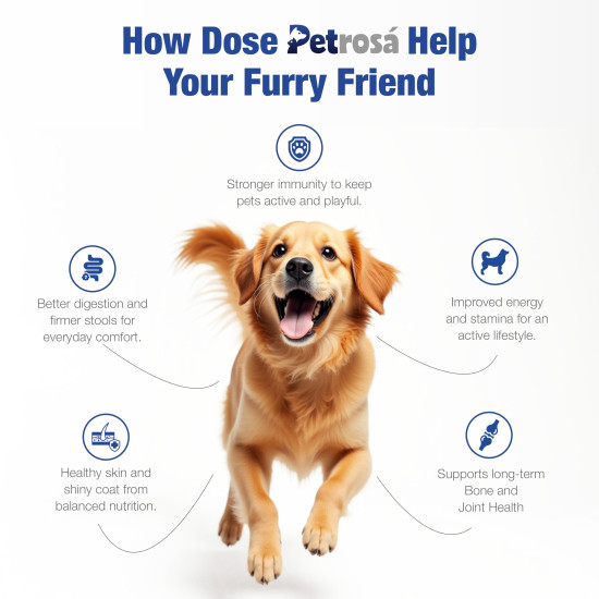 Petrosa Large Breed Adult Dog Food (15 Months & Above), Complete Daily Nutrition with High Protein, DHA & Prebiotics, Supports Joint Health, Digestion & Energy – 1 Kg