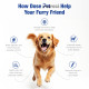 Petrosa Large Breed Adult Dog Food (15 Months & Above), Complete Daily Nutrition with High Protein, DHA & Prebiotics, Supports Joint Health, Digestion & Energy – 1 Kg