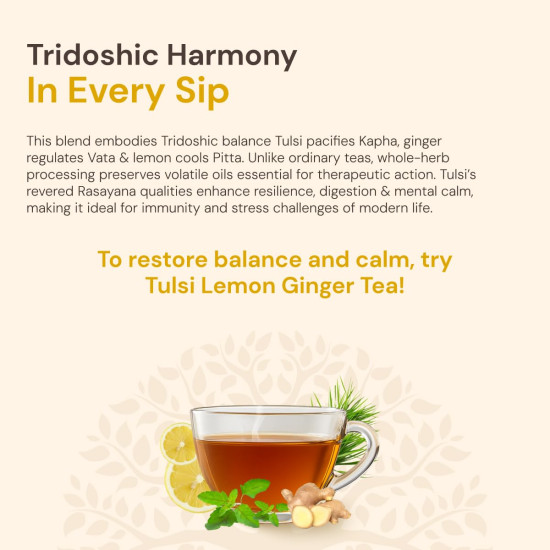 Maharishi Ayurveda Organic Certified Tulsi Lemon Ginger Herbal Tea | With Tulsi, Lemongrass & Ginger | Supports Immunity, Digestion & Seasonal Comfort | 20 Tea Bags (30g)
