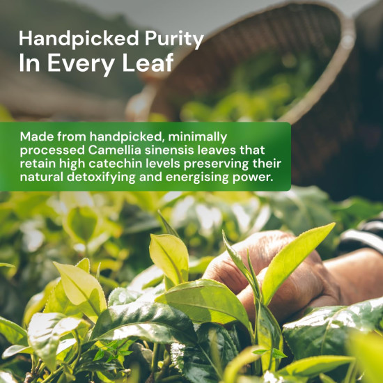 Maharishi Ayurveda Organic Certified Green Tea Classic - 100g | Loose Leaf Green Tea | Rich in Antioxidants | Pure, Fresh & Natural | Supports Detox & Wellness Maharishi Ayurveda Organic Certified Green Tea Classic - 100g | Loose Leaf Green Tea | Rich in Antioxidants | Pure, Fresh & Natural | Supports Detox & Wellness