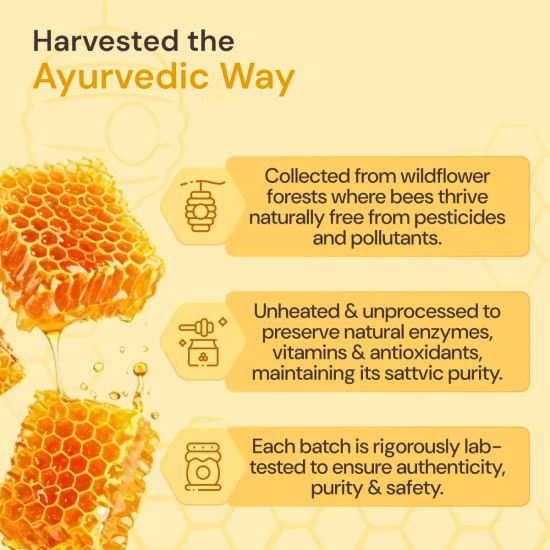 Maharishi Ayurveda Organic Certified Honey | Raw, Unprocessed Honey | Supports Digestion, Immunity & Natural Energy | 250 g (Glass Jar) Maharishi Ayurveda Organic Certified Honey | Raw, Unprocessed Honey | Supports Digestion, Immunity & Natural Energy | 250 g (Glass Jar)