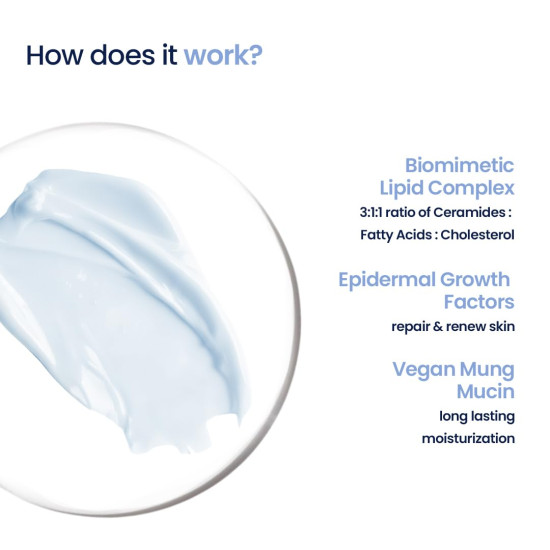 WishCare 3:1:1 Barrier Bounce Moisturizer for Face | Barrier Repair Moisturizer With Ceramides, EGF & Mung Mucin | Repairs Skin Barrier, Calms & Soothes | All Skin Types | For Men and Women | 50ml