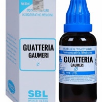 SBL Guatteria Gaumeri Q Mother Tincture - 30ml,