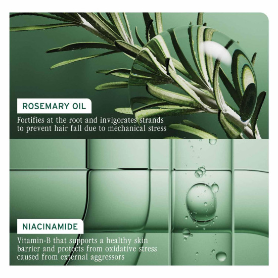 Biolage Full Rescue Anti-Breakage Shampoo, 74% less breakage & Reduces Hairfall, With Rosemary Oil & Niacinamide, Vegan & Cruelty-Free, for all hairtypes Biolage Full Rescue Anti-Breakage Shampoo, 74% less breakage & Reduces Hairfall, With Rosemary Oil & Niacinamide, Vegan & Cruelty-Free, for all hairtypes