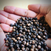 El The Cook Black Peppercorns 50gm