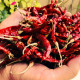 El The Cook Dried Spicy Red Chilis 50g