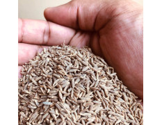 El The Cook Jeera or Cumin Seeds 50gm