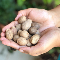 El The Cook Nutmeg or Jaiphal 50gm