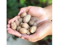 El The Cook Nutmeg or Jaiphal 50gm