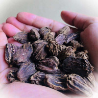 El The Cook Black Cardamom 50gm