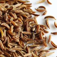 El The Cook Shah Jeera or Caraway Seeds 50gm