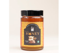 Isha life Natural Honey 500 gms