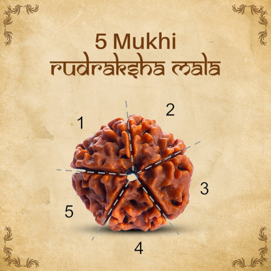 NeuOrigin Sacred Rudraksha Mala - 108 Beads 5 Mukhi Mala - Handmade in India - for Spiritual Awakening and Meditation - Handcrafted in India